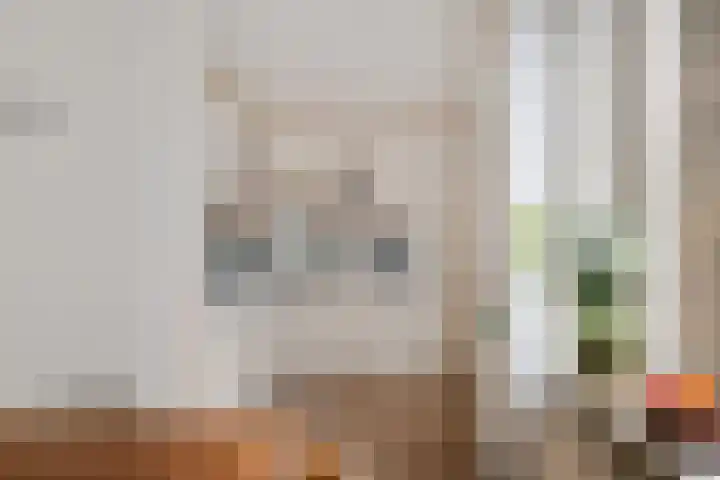 Paradijske 2 2 Drachten thumbnail 18