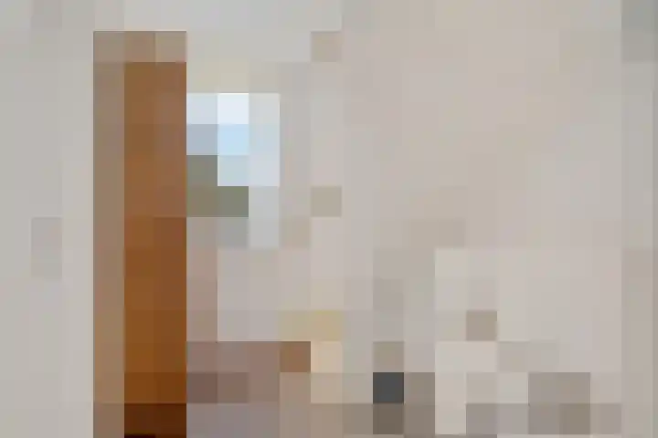 Paradijske 2 2 Drachten thumbnail 24