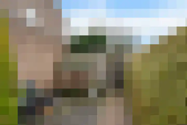 Paradijske 2 2 Drachten thumbnail 39