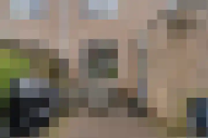 Paradijske 2 2 Drachten thumbnail 42