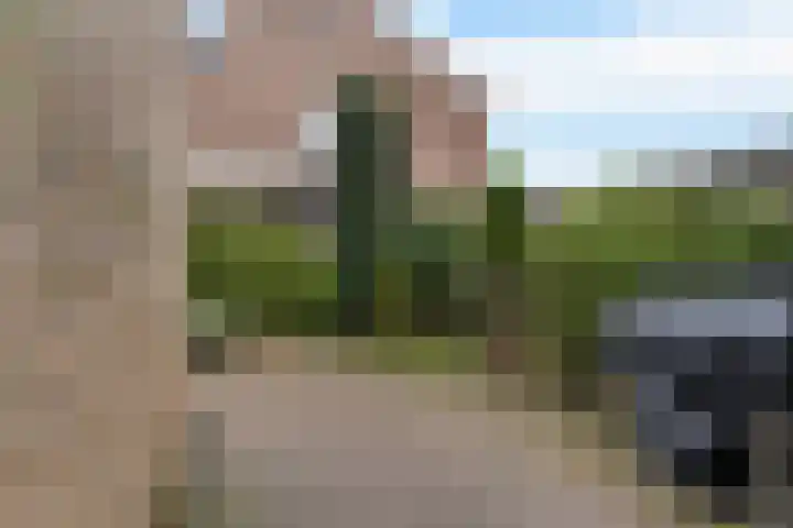 Paradijske 2 2 Drachten thumbnail 43