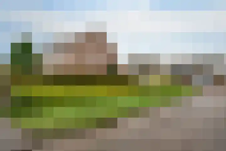 Paradijske 2 2 Drachten thumbnail 6