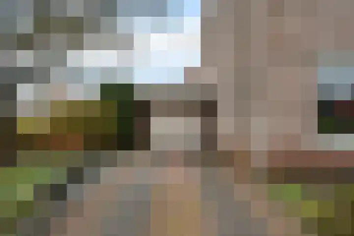 Paradijske 2 2 Drachten thumbnail 7