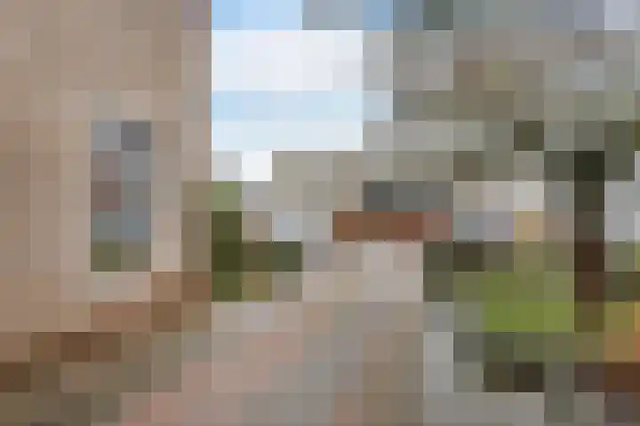 Paradijske 2 2 Drachten thumbnail 8