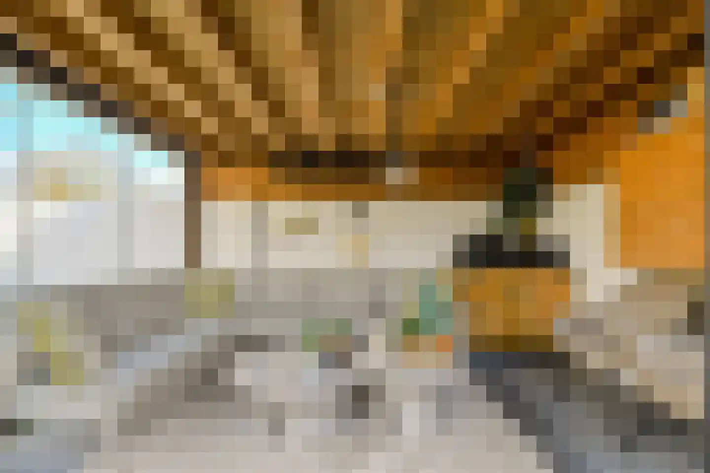 Paradijslaan 112 Breda thumbnail 39