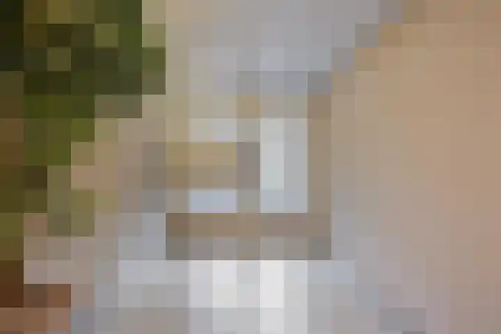 Paradijslaan 121 Eindhoven thumbnail 11