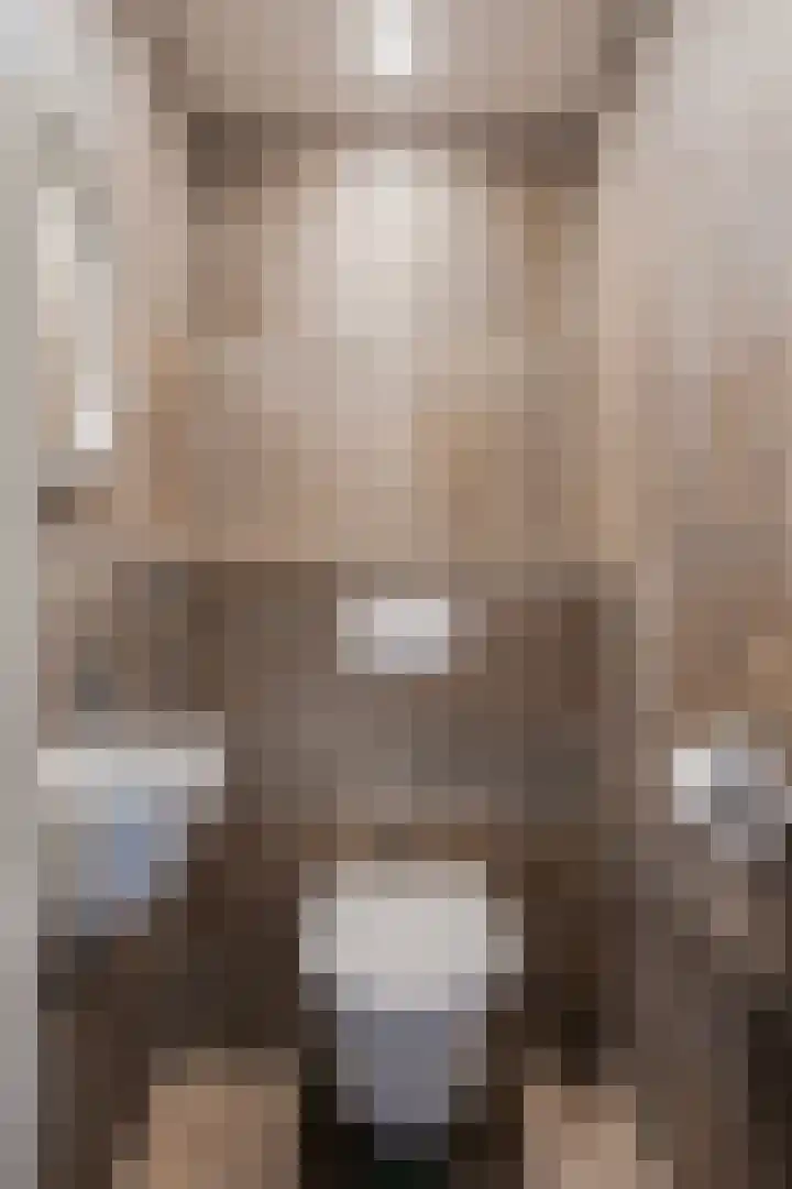 Paradijslaan 121 Eindhoven thumbnail 15