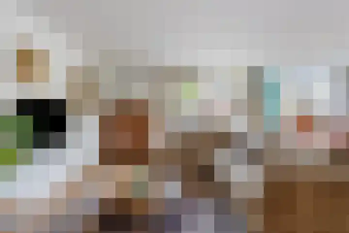 Paradijslaan 121 Eindhoven thumbnail 20