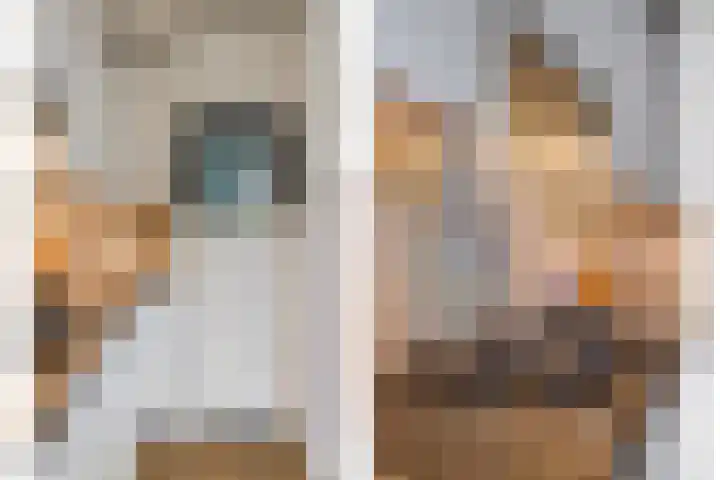 Paradijslaan 121 Eindhoven thumbnail 25