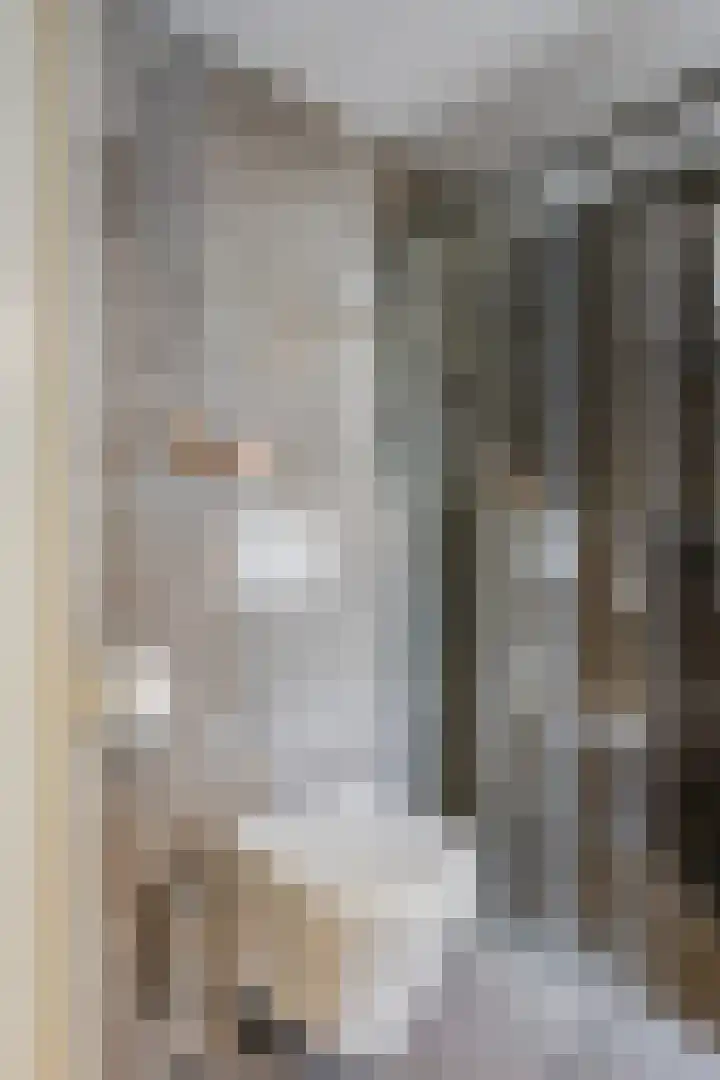 Paradijslaan 121 Eindhoven thumbnail 34