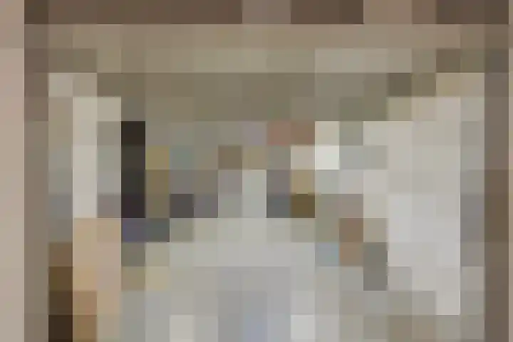 Paradijslaan 121 Eindhoven thumbnail 37