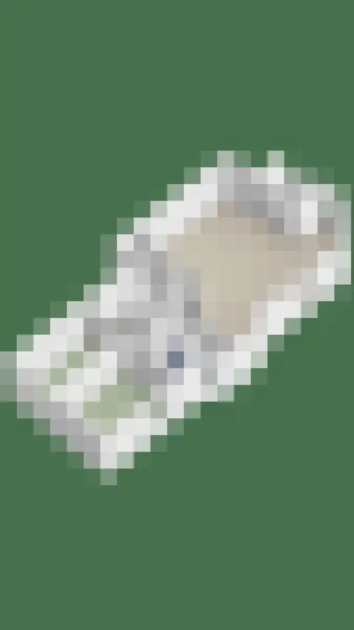 Paradijslaan 121 Eindhoven thumbnail 41