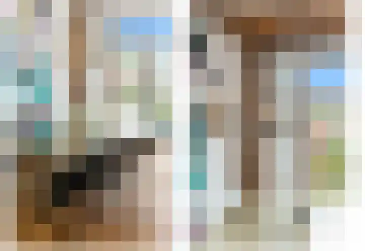 Paradijslaan 123 B Rotterdam thumbnail 13