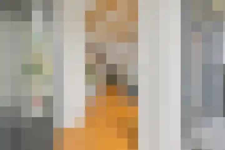 Paradijslaan 123 B Rotterdam thumbnail 15