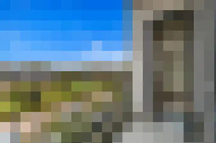 Paradijslaan 123 B Rotterdam thumbnail 16