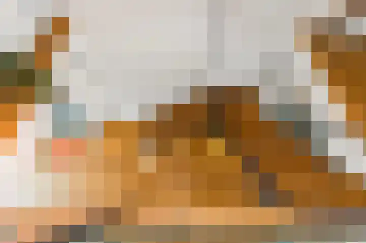 Paradijslaan 123 B Rotterdam thumbnail 25
