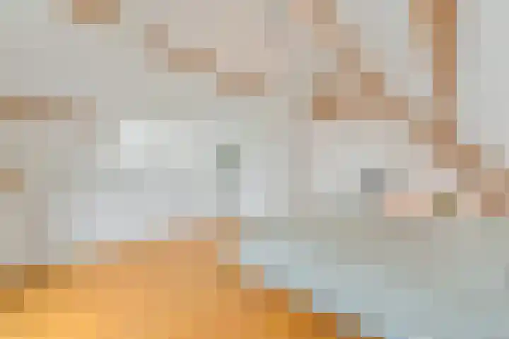 Paradijslaan 123 B Rotterdam thumbnail 30