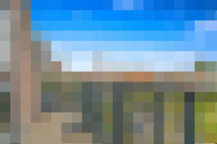 Paradijslaan 123 B Rotterdam thumbnail 32