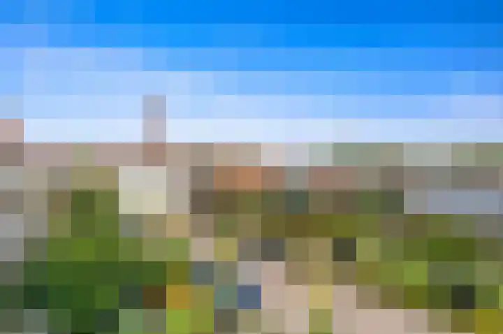 Paradijslaan 123 B Rotterdam thumbnail 34