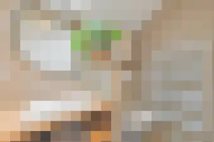 Paradijslaan 123 B Rotterdam thumbnail 36