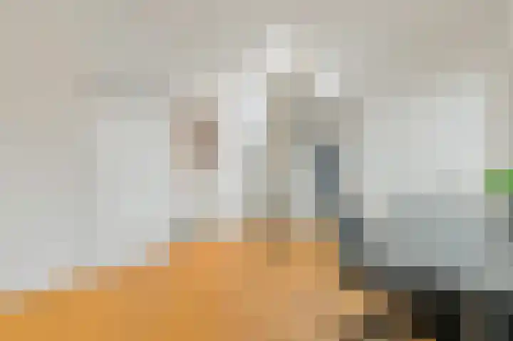 Paradijslaan 123 B Rotterdam thumbnail 40