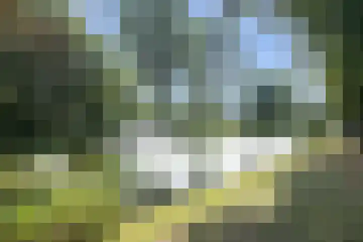 Paradijslaan 123 B Rotterdam thumbnail 48