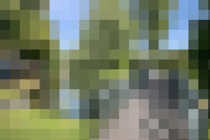 Paradijslaan 123 B Rotterdam thumbnail 50