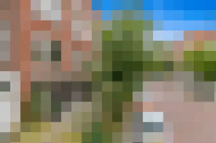 Paradijslaan 123 B Rotterdam thumbnail 6