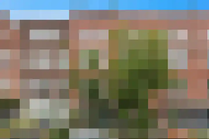 Paradijslaan 123 B Rotterdam thumbnail 7