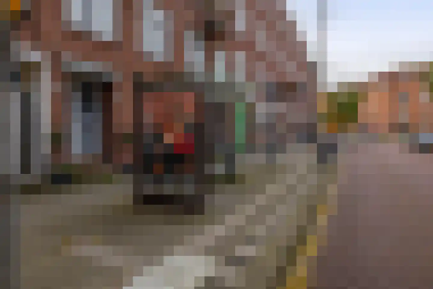 Paradijslaan 130 B Rotterdam thumbnail 28
