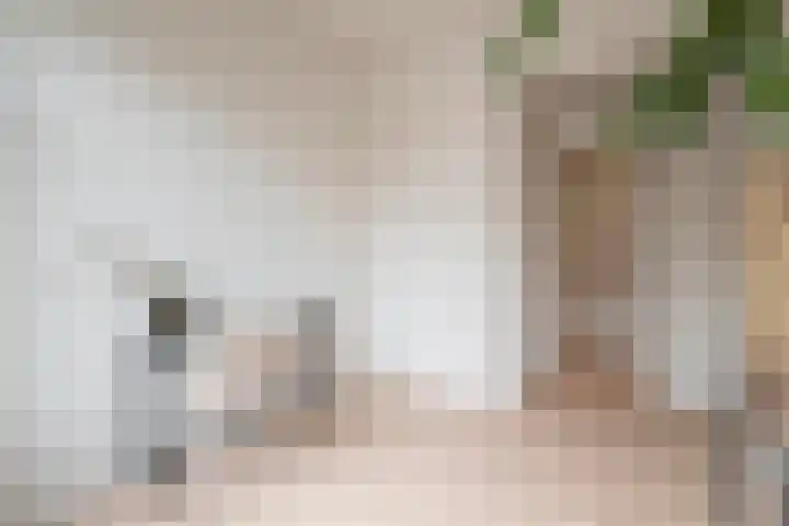 Paradijslaan 132 B 03 Rotterdam thumbnail 22