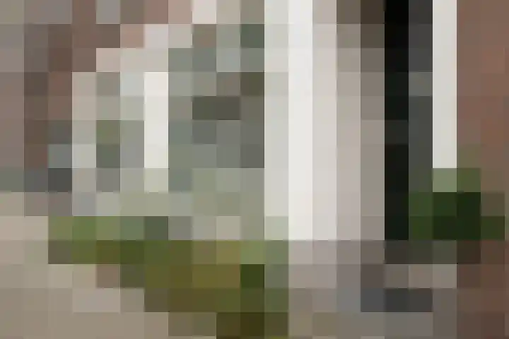 Paradijslaan 132 B 03 Rotterdam thumbnail 24