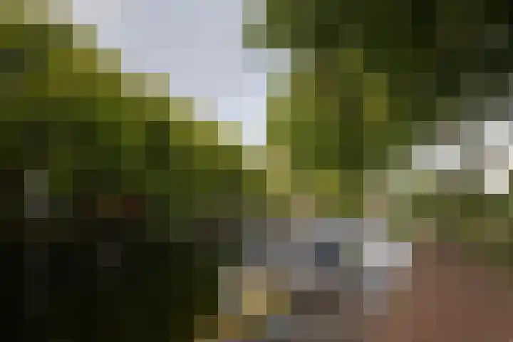 Paradijslaan 132 B 03 Rotterdam thumbnail 29