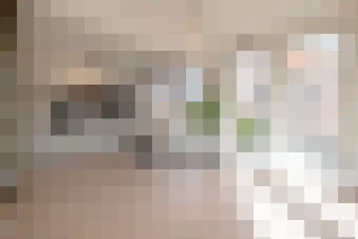 Paradijslaan 132 B 03 Rotterdam thumbnail 6