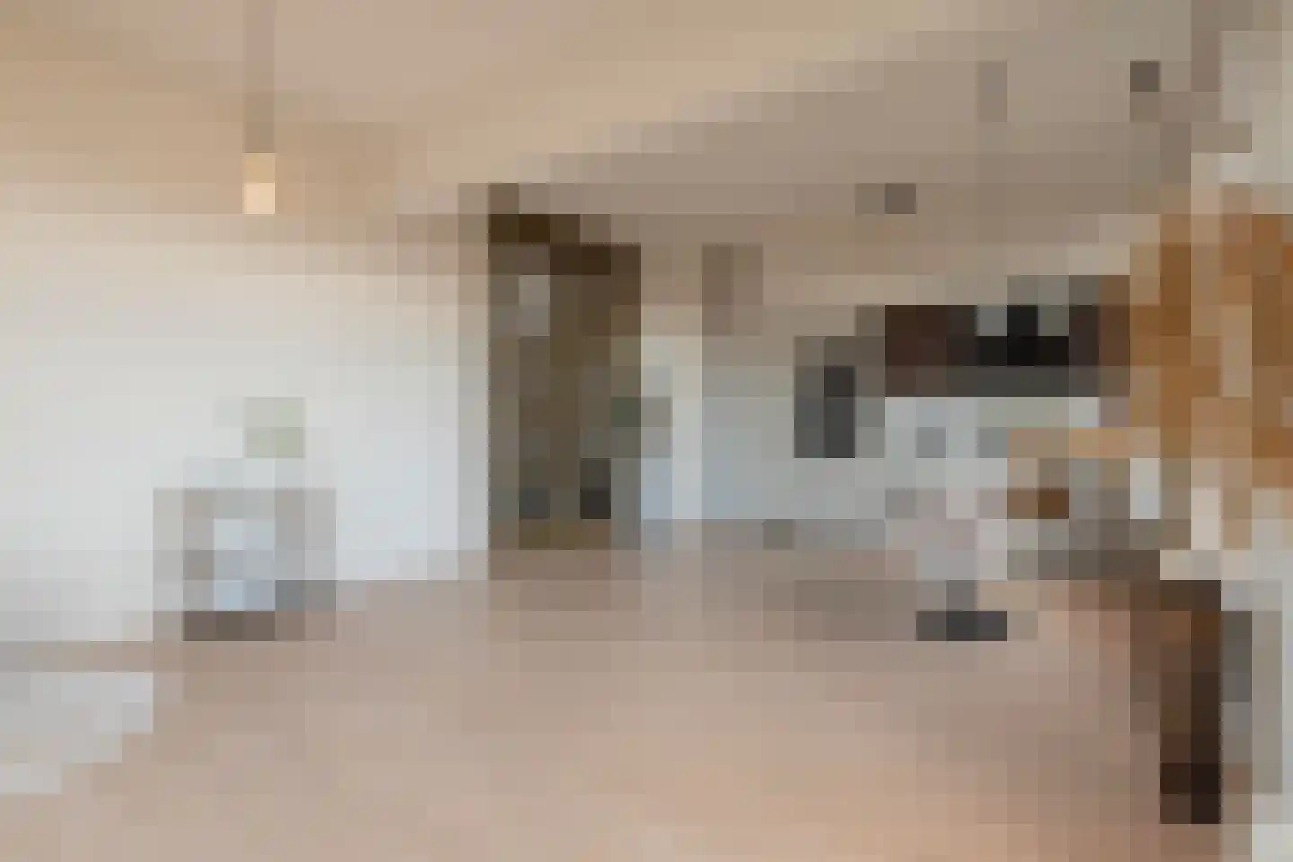 Paradijslaan 132 B 03 Rotterdam thumbnail 7