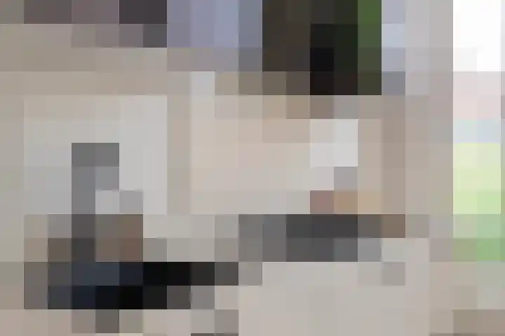 Paradijslaan 132 B 03 Rotterdam thumbnail 9