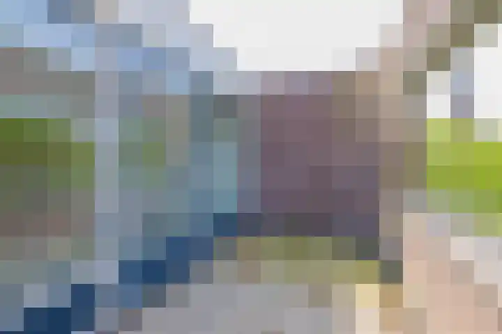 Paradijslaan 16 A Alphen aan den Rijn thumbnail 20