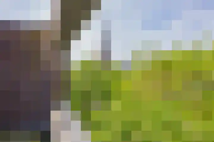 Paradijslaan 16 A Alphen aan den Rijn thumbnail 21