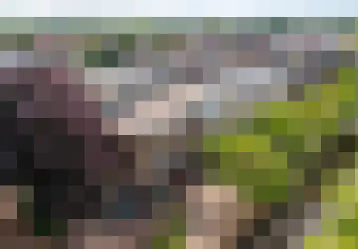 Paradijslaan 16 A Alphen aan den Rijn thumbnail 22