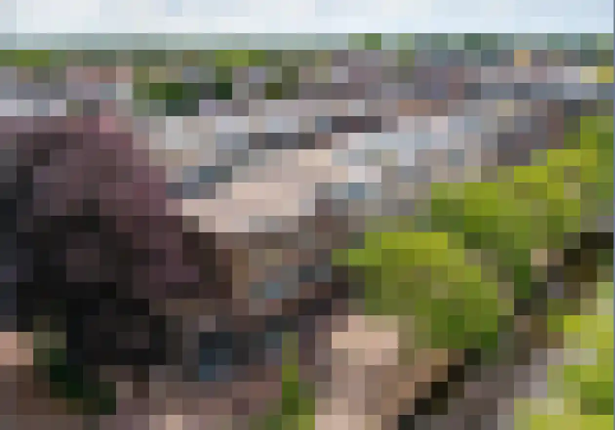 Paradijslaan 17 Alphen aan den Rijn foto 2