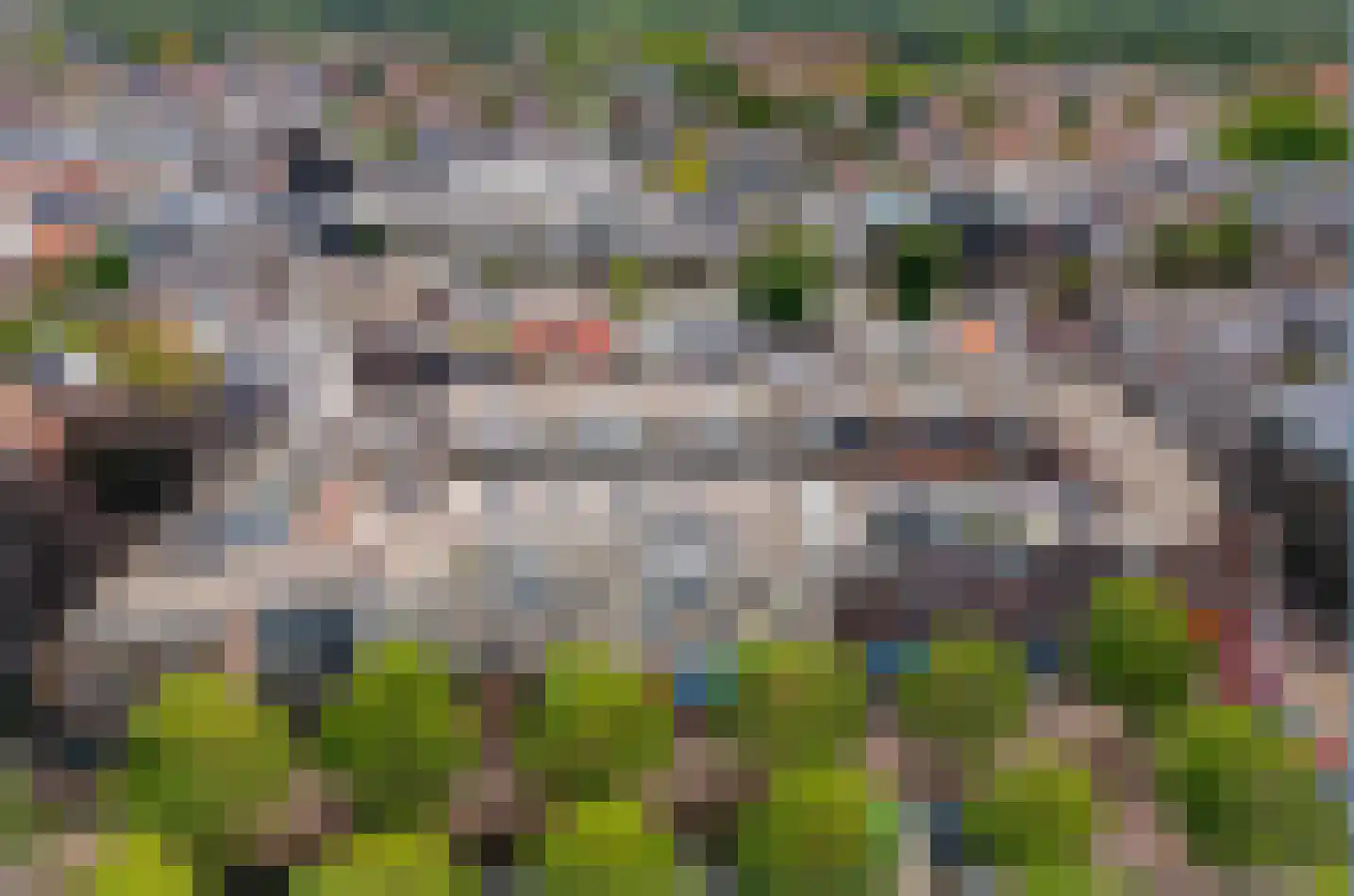 Paradijslaan 17 Alphen aan den Rijn thumbnail 26