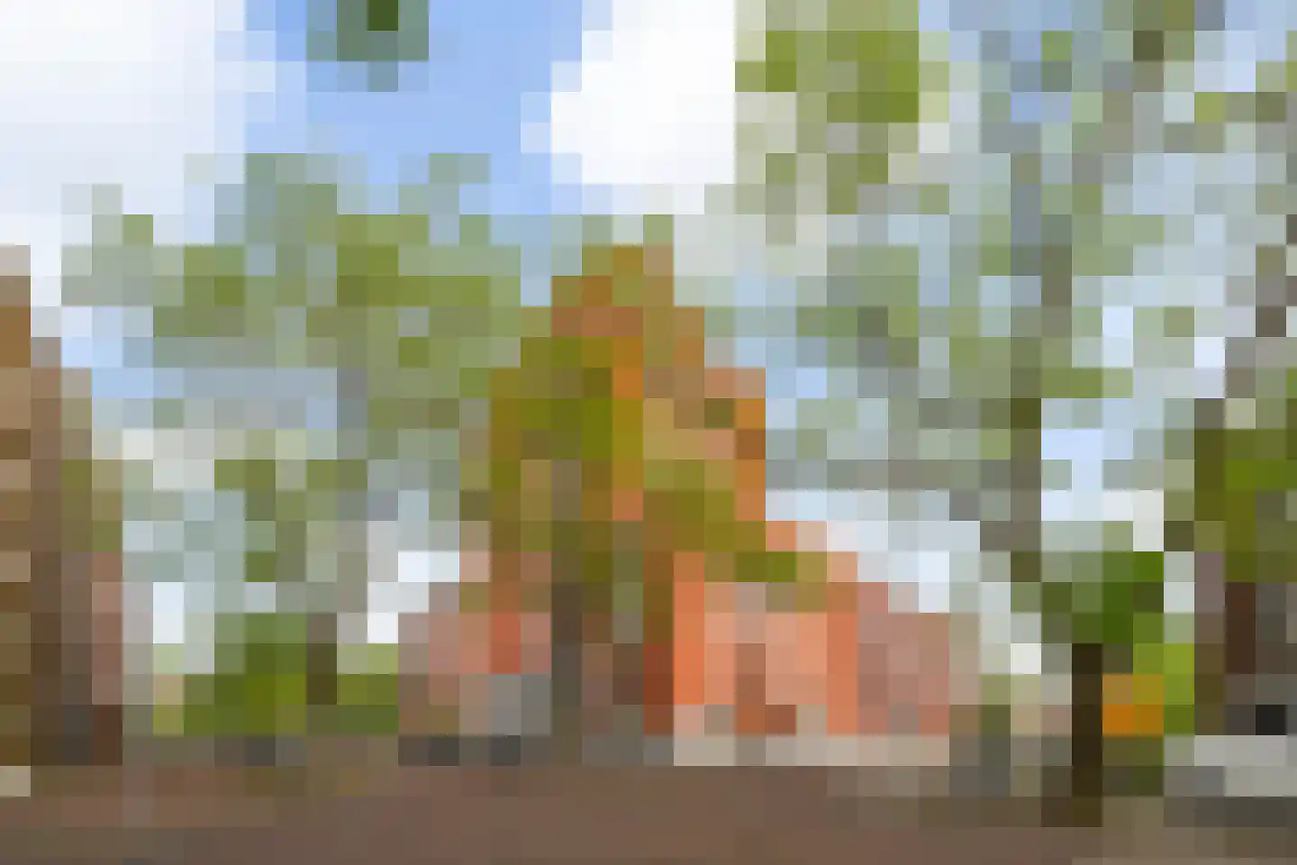 Paradijslaan 18 F Rotterdam thumbnail 5