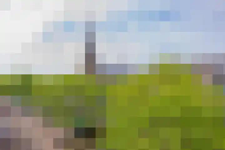 Paradijslaan 20 Alphen aan den Rijn foto 2