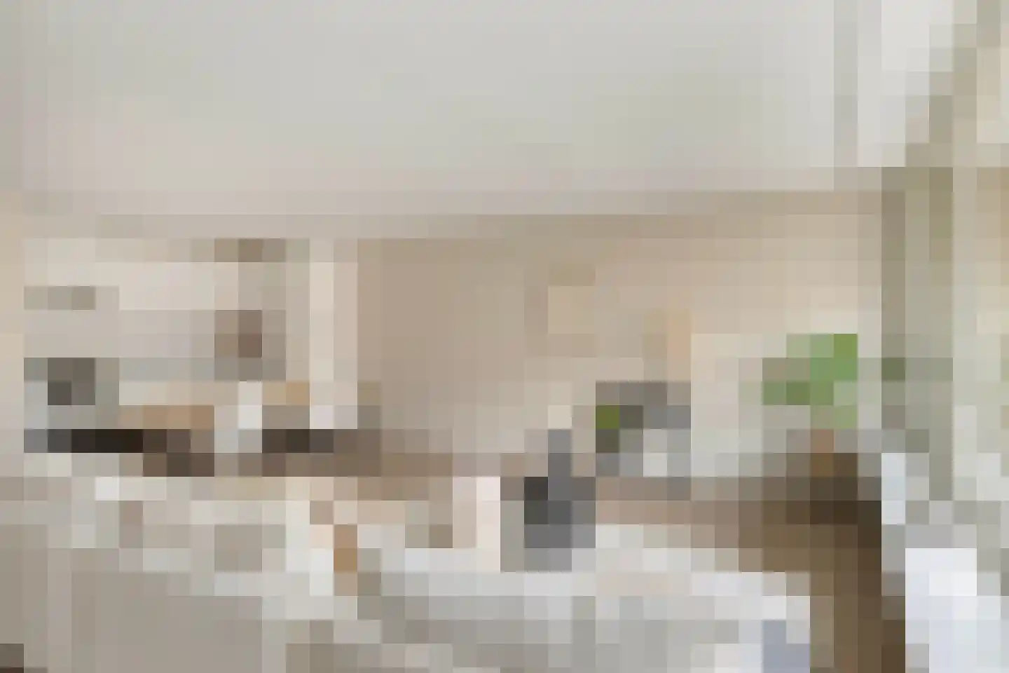 Paradijslaan 27 Eindhoven thumbnail 16