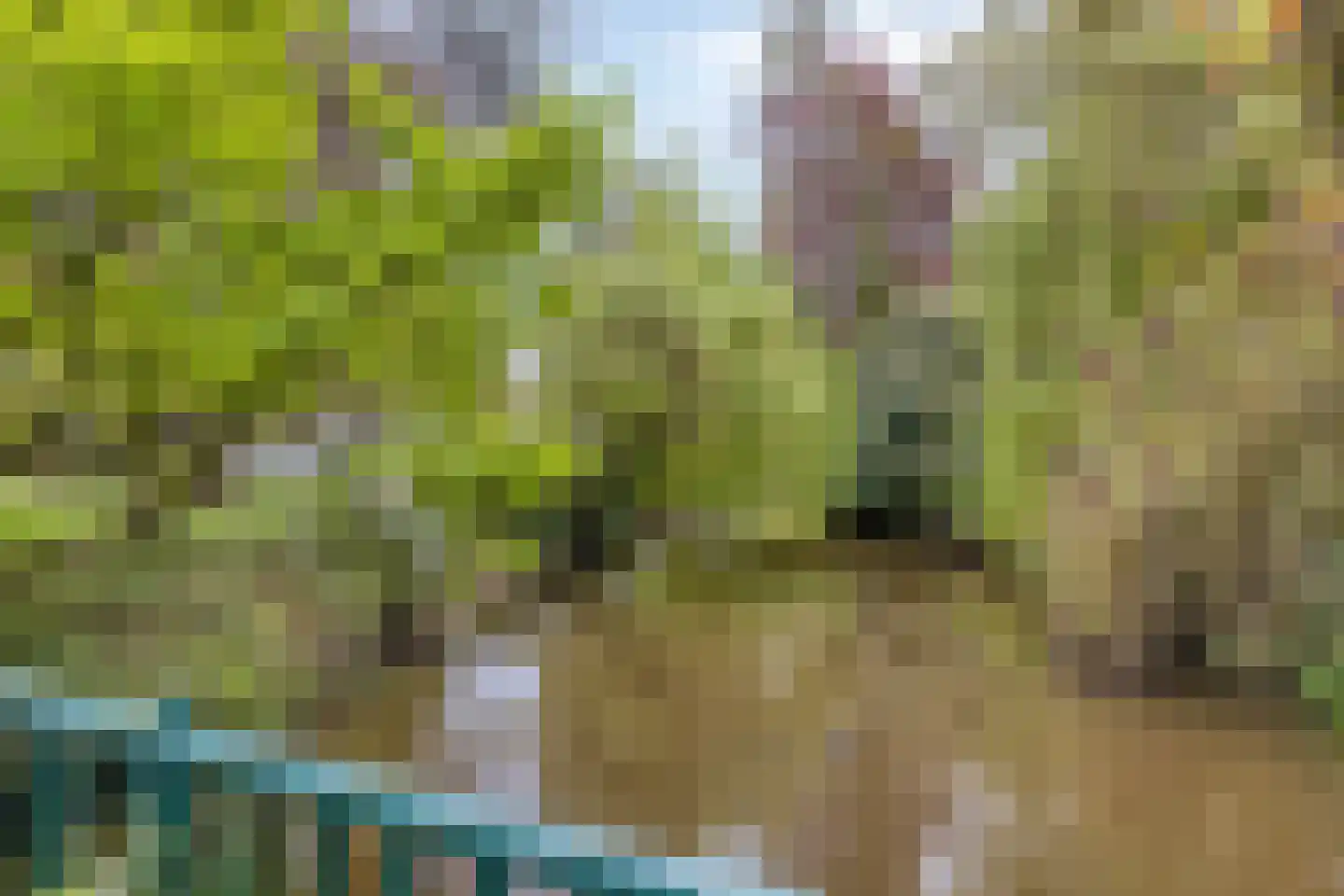 Paradijslaan 27 Eindhoven thumbnail 30