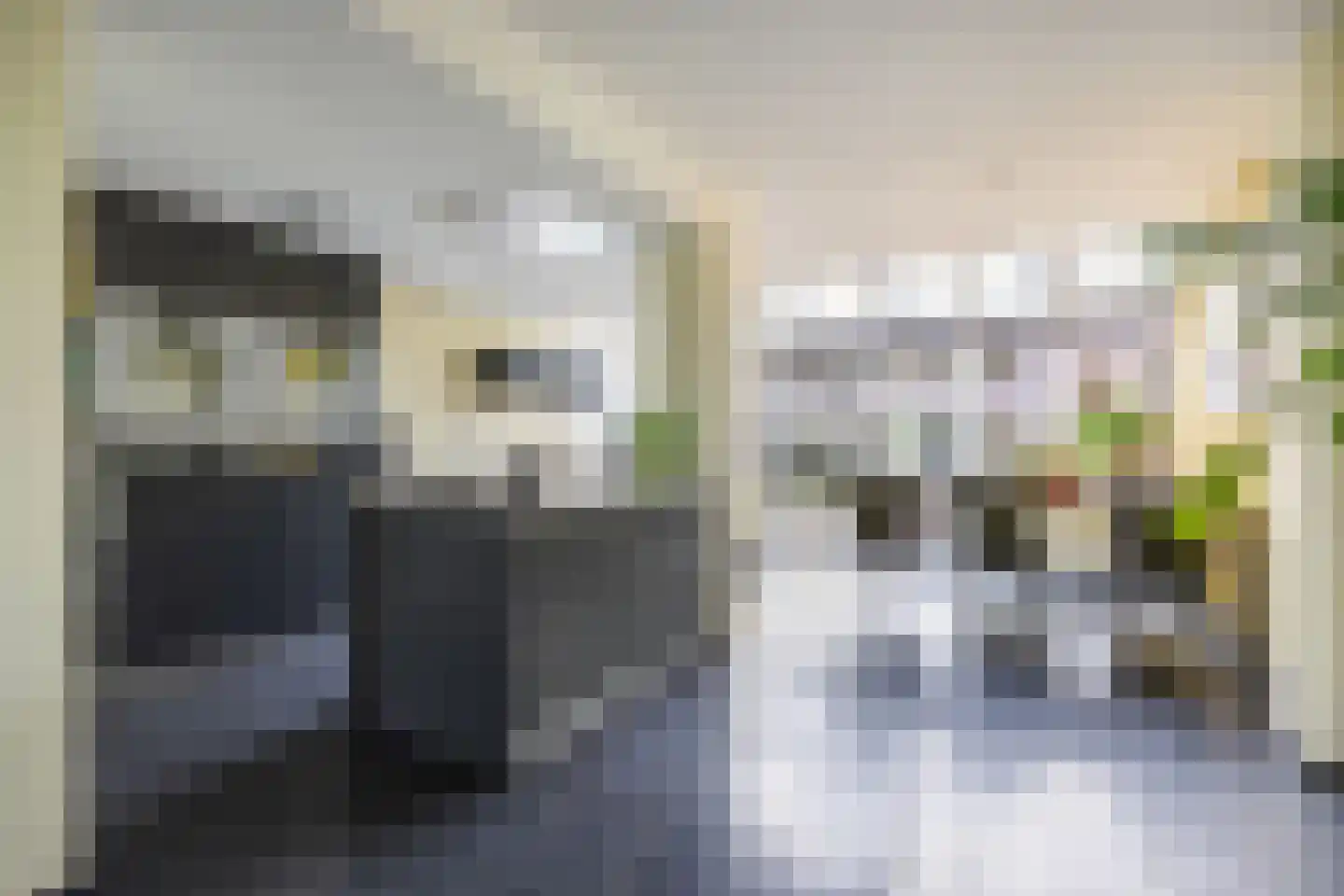 Paradijslaan 42 Breda thumbnail 21