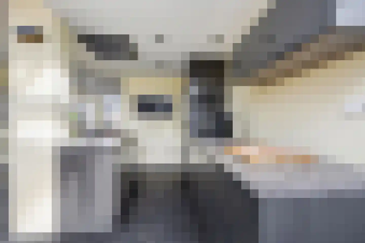 Paradijslaan 42 Breda thumbnail 24