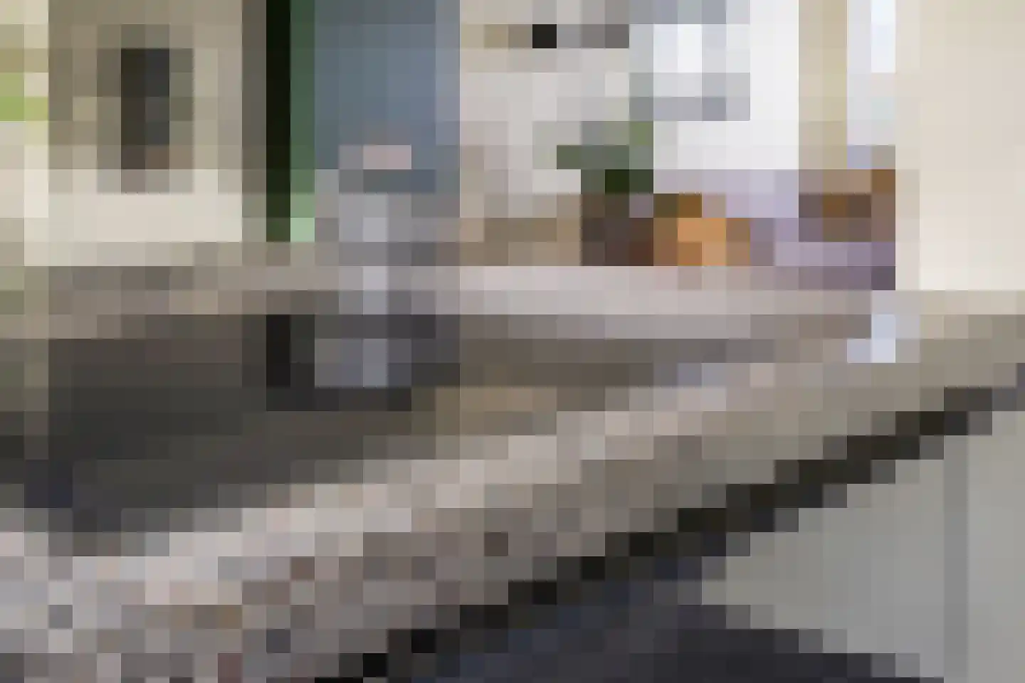 Paradijslaan 42 Breda thumbnail 26