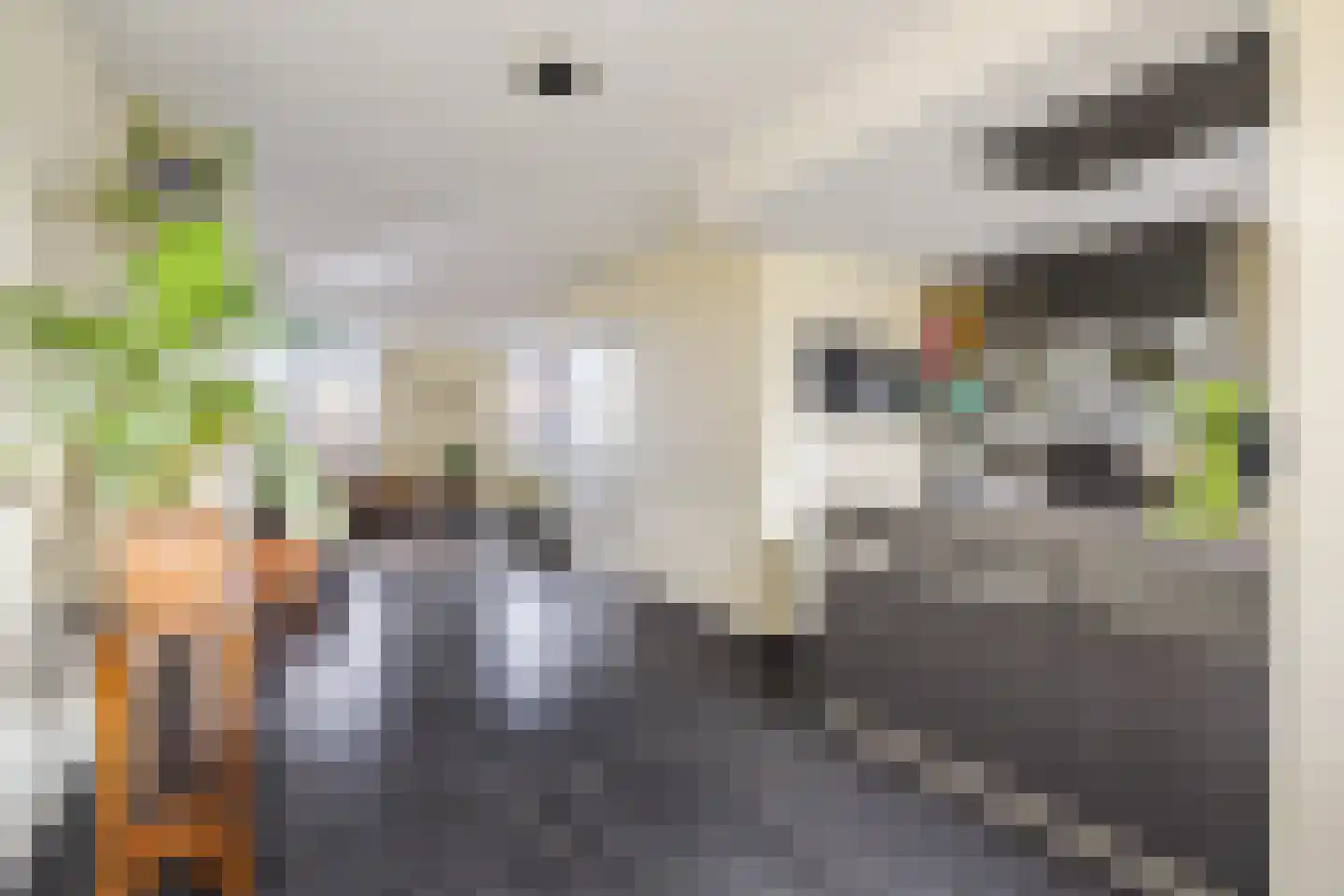 Paradijslaan 42 Breda thumbnail 27