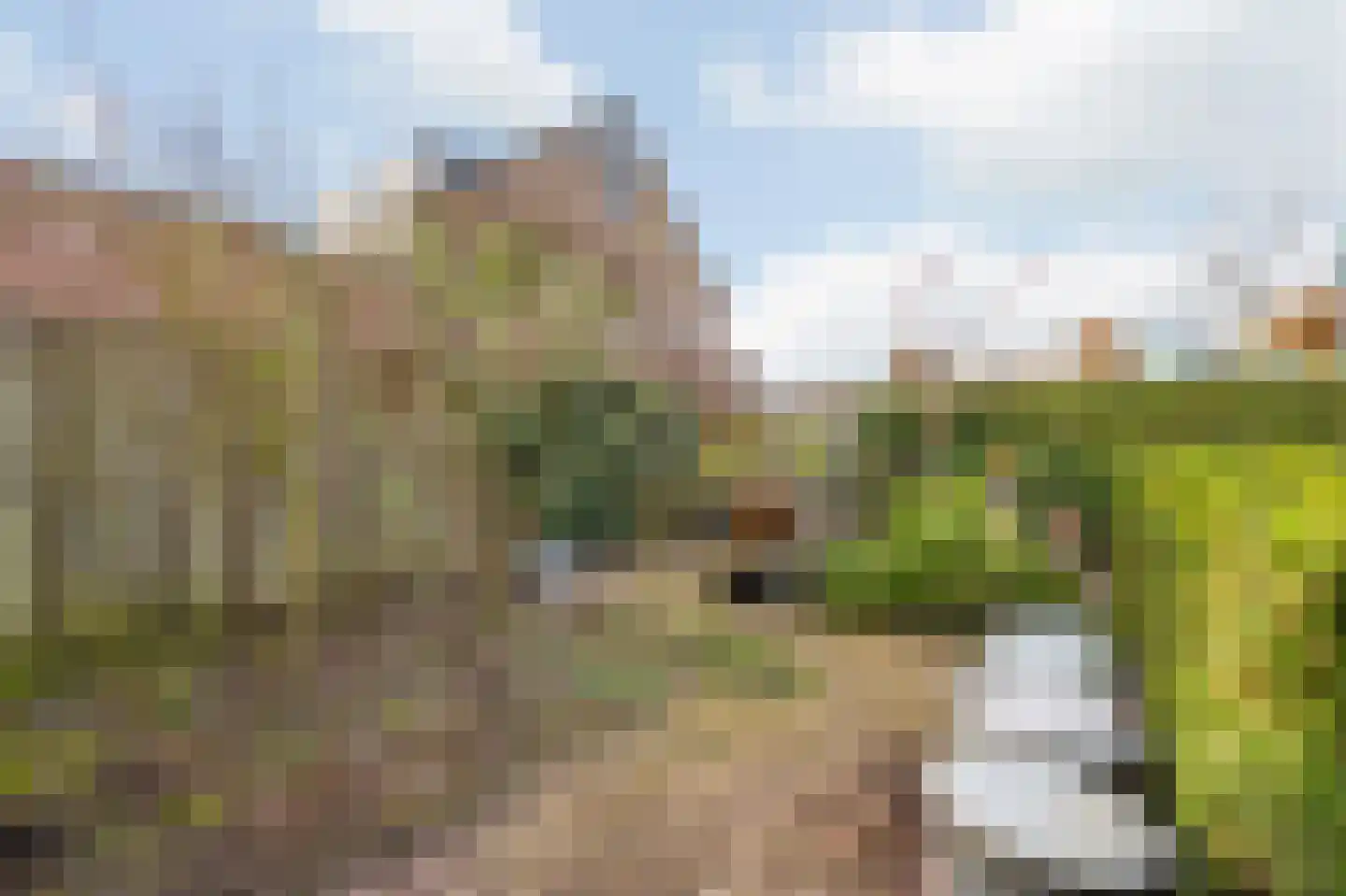 Paradijslaan 42 Breda thumbnail 63